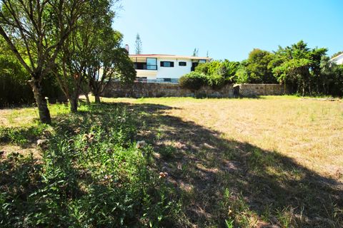 Herregård i Sintra, Lisbon, Sintra - € 1 799 000 | Ref: W-02WOZX - foto 34